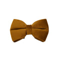 Load image into Gallery viewer, Brown velvet bow tie for dog collar