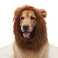 Load image into Gallery viewer, Close-up front view of golden retriever in brown lion mane pet hat