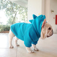 Charger l'image dans la visionneuse de la galerie, Pet Apparel Fleece Solid Color Hoodie