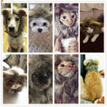 Load image into Gallery viewer, Lion Small Ears Wig Dog Hat Pet Wig Transformation