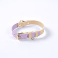 Cargar la imagen en la vista de la galería, Pastel Leather Dog Collar & Leash Set