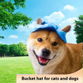 Load image into Gallery viewer, Dog wearing a blue breathable bucket hat in a park