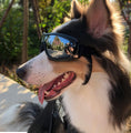 Charger l'image dans la visionneuse de la galerie, Pet glasses dog supplies goggles waterproof windproof sunscreen UV dog glasses