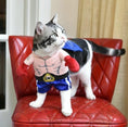 Load image into Gallery viewer, Boxer Cat Costume