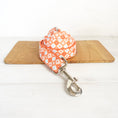 Load image into Gallery viewer, Orange Adventure Matching Collar And Leash Set