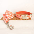Load image into Gallery viewer, Orange Adventure Matching Collar And Leash Set