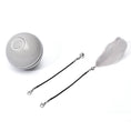 Load image into Gallery viewer, Grey LED light cat toy ball with detachable black string attachments including a grey feather and a bell on white background