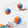 Load image into Gallery viewer, Illustration showing motion of orange and blue ball toy with feather mouse attached on white background