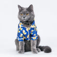 Load image into Gallery viewer, Gray cat wearing the blue duck print shirt sitting upright