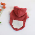 Charger l'image dans la visionneuse de la galerie, Plush thick warm pet dog clothes