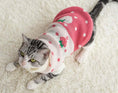 Load image into Gallery viewer, Puppy cat clothes anti-hair fall and winter clothes to keep warm