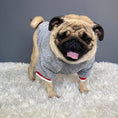 Load image into Gallery viewer, Pet sweater