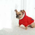Charger l'image dans la visionneuse de la galerie, Law Fighting Clothes Dog Cotton Winter Pet Clothes Plus Velvet Thickening