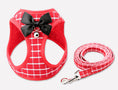 Charger l'image dans la visionneuse de la galerie, Cat Chain Traction Rope Set, Chest Harness, Cat Harness, Cat Collar, Dog Leash