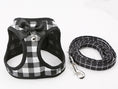 Charger l'image dans la visionneuse de la galerie, Cat Chain Traction Rope Set, Chest Harness, Cat Harness, Cat Collar, Dog Leash