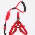 Load image into Gallery viewer, Red nylon dog harness with adjustable straps and matching shock-absorbing leash with padded handle