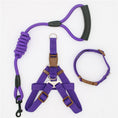 Load image into Gallery viewer, Shock-Absorbing Dog Harness & Leash Set