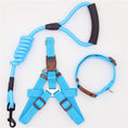 Load image into Gallery viewer, Shock-Absorbing Dog Harness & Leash Set