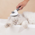 Load image into Gallery viewer, Person grooming a relaxed white cat using the pet hair brush