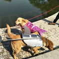 Charger l'image dans la visionneuse de la galerie, Pet Life Jacket Shark Mermaid Swimsuit
