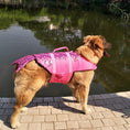 Charger l'image dans la visionneuse de la galerie, Pet Life Jacket Shark Mermaid Swimsuit