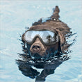 Load image into Gallery viewer, Pet Glasses Dog Sunglasses Law Fighting Supplies Strange Cat Sunglasses Small Dog Goggles Gold Chain Photo Accessories