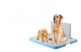 Cargar la imagen en la vista de la galería, Dog Toilet Puppy Dog Supplies Teddy Dog Urinal Potty Golden Hair Puppies