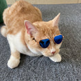 Load image into Gallery viewer, Orange and white cat wearing blue lens aviator-style metal sunglasses