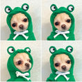 Load image into Gallery viewer, Multiple close-up views of small dog wearing a green frog hoodie with big round eyes on the hood