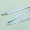Load image into Gallery viewer, Paisley Pet Collar Leash Set Dog Collar Leash Bow