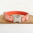Load image into Gallery viewer, Orange Adventure Matching Collar And Leash Set