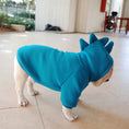 Charger l'image dans la visionneuse de la galerie, Pet Apparel Fleece Solid Color Hoodie