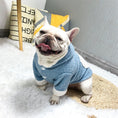Charger l'image dans la visionneuse de la galerie, Plush thick warm pet dog clothes