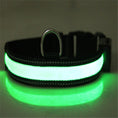 Load image into Gallery viewer, Fluorescent dog collar