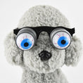 Charger l'image dans la visionneuse de la galerie, Pet Funny Glasses Props Spring Glasses