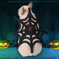Charger l'image dans la visionneuse de la galerie, Small beige dog wearing black spider web costume with red spider detail, photographed against dark Halloween backdrop with glowing pumpkins