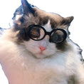 Load image into Gallery viewer, Pet Dog Cat Multi-color Sunglasses Cool Handsome Accessories