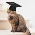 Load image into Gallery viewer, Dog Tassel Doctorial Hat Party Supplies Pet Hat