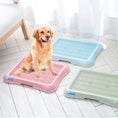 Cargar la imagen en la vista de la galería, PET Dog Toilet Puppy Dog Potty Tray Indoor Litter Boxes