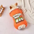 Cargar la imagen en la vista de la galería, Rear view of French Bulldog in orange padded jumpsuit on cozy carpet next to knitted blanket