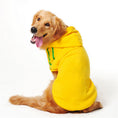 Cargar la imagen en la vista de la galería, Ropa para mascotas