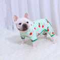 Charger l'image dans la visionneuse de la galerie, White French Bulldog looking forward dressed in mint green four-legged pajamas