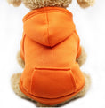 Load image into Gallery viewer, Dog clothes autumn new Teddy cat than bear puppy puppies Thin summer spring and autumn winter pockets sweater