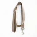 Load image into Gallery viewer, Teddy dog pen pet leash set