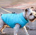 Cargar la imagen en la vista de la galería, Small dog wearing bright blue quilted lightweight nylon jacket walking outdoors on leash