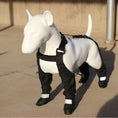 Cargar la imagen en la vista de la galería, DOGGIE STRAP PAW PROTECTORS Out Dog Shoes Pet Shoes Waterproof Non-slip