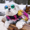 Load image into Gallery viewer, Cat And Dog Pearl Party Sunglasses