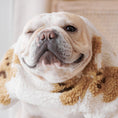 Load image into Gallery viewer, Pet Cute Thick Warm Corduroy Bottoming Shirt