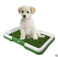 Load image into Gallery viewer, Light-colored puppy sitting on green artificial grass dog potty tray on white background