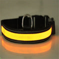 Load image into Gallery viewer, Fluorescent dog collar